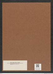 Actinoptychus sp. (de-Toni-Nr.: Genus 227) Zeichnungen Sammlung Grunow Mappe 05378 (Herbarium_W_Grunow_drawings_Folder_05378)